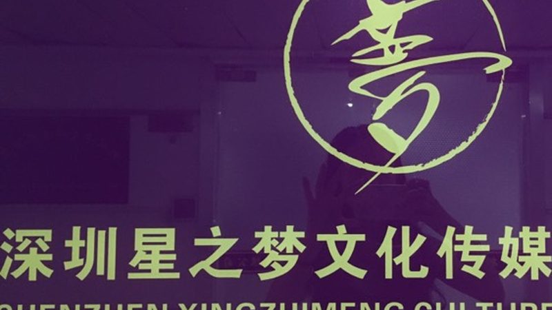 行业背景：新能源汽车的崛起与公关传播的挑战